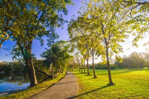 gardener injury compensation claim