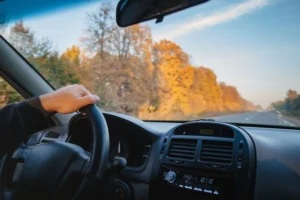 A driver has their hand on the steering wheel as they travel along a tree-lined road